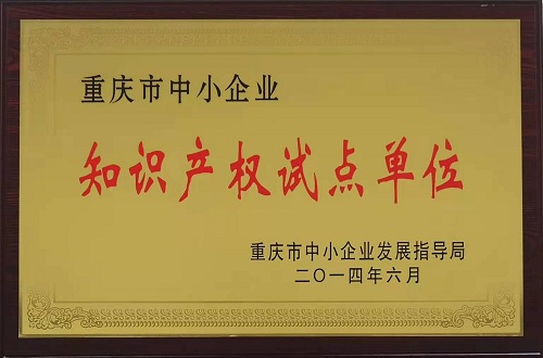 知識產權試點單位