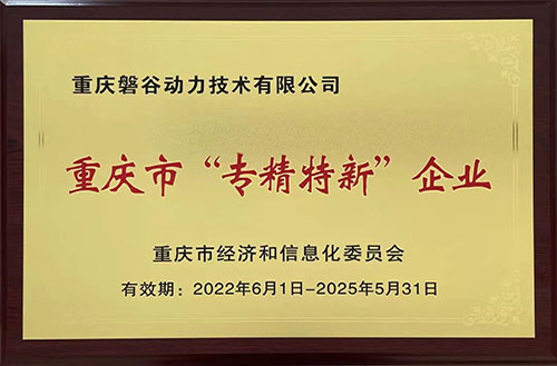 重慶市專精特新企業(yè)