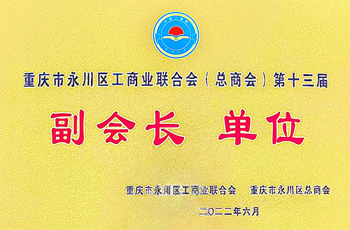 工商業(yè)聯(lián)合會(huì)副會(huì)長(zhǎng)單位