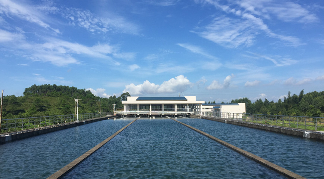 柴油發動機